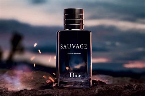 sauvage dior perfume set|what does Dior Sauvage smell like.